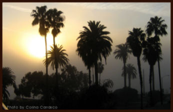 for-wasted-sm-foggy-sunset.jpg