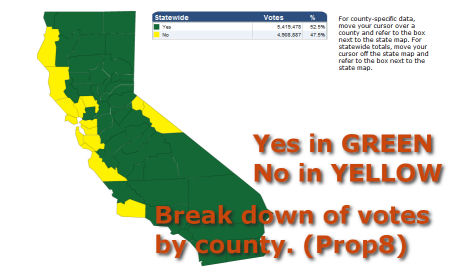 How California Voted on H8